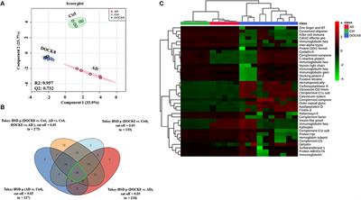 Proteomics Profiling to Distinguish DOCK8 Deficiency From Atopic Dermatitis